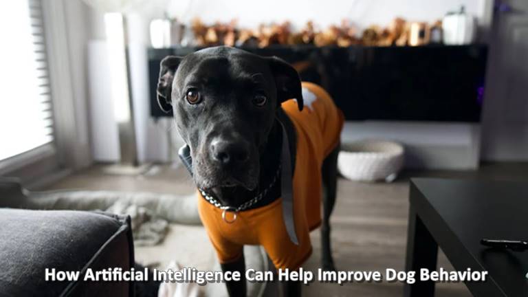 How Artificial Intelligence Can Help Improve Dog Behavior