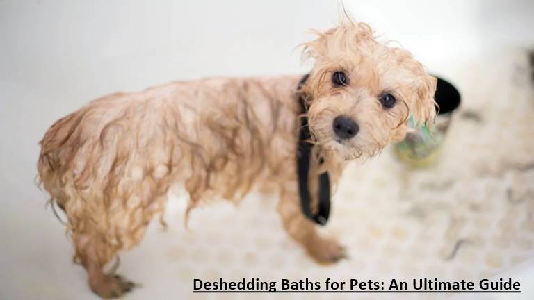 Deshedding Baths for Pets